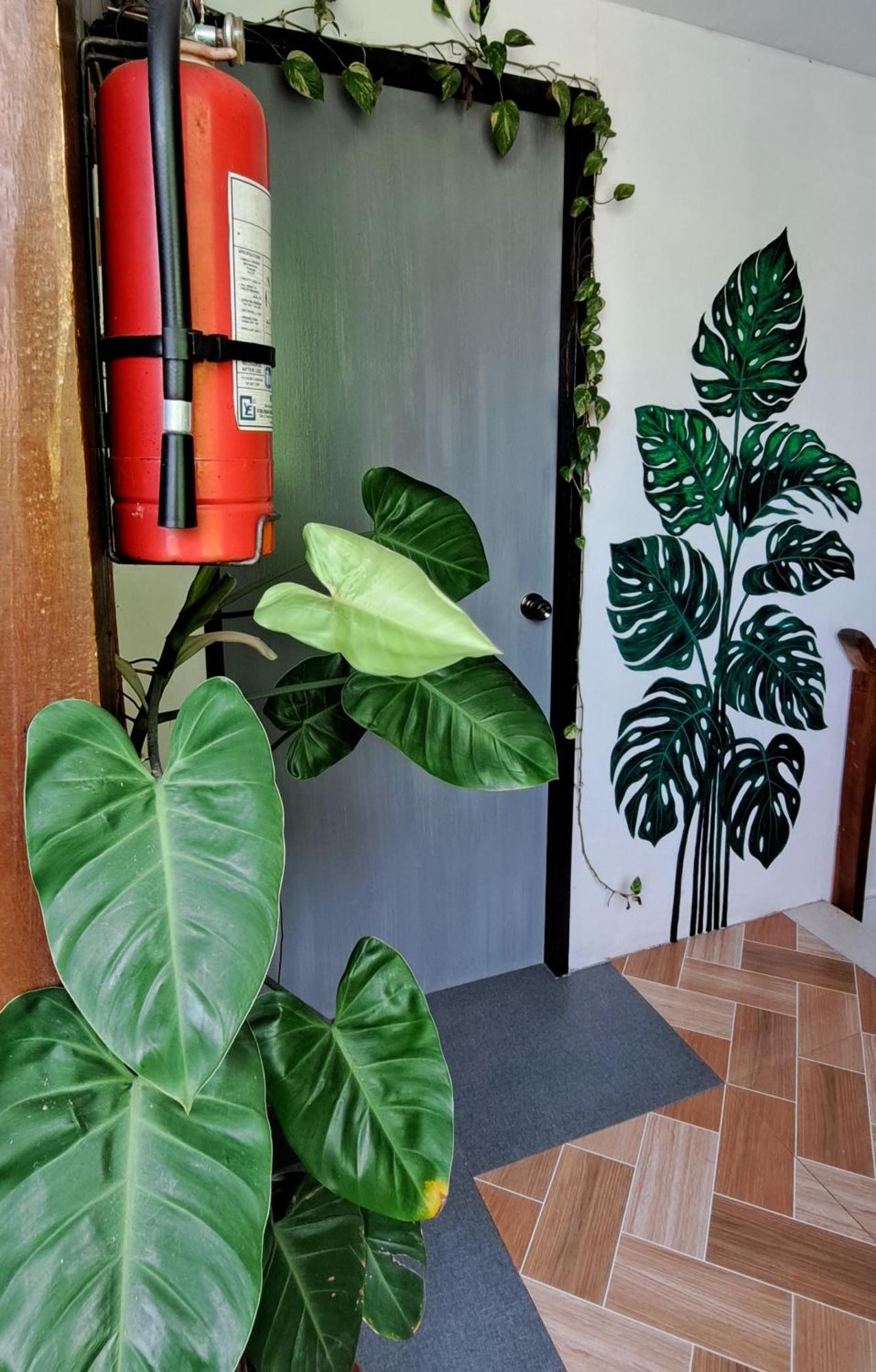 Bougainvillea Guesthouse Сан-Хуан Экстерьер фото